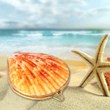 Shell Trinket Box nz